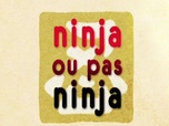 Replay Bonus :Ninja ou pas