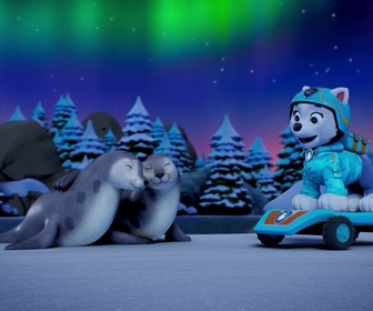 Replay Paw Patrol, la Pat'Patrouille - Sur la route avec Stella : Voyage en Arctique