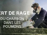 Replay Vert de rage - 03/02/2025