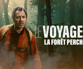 Replay Le voyageur - S2 E6 - La forêt perchée