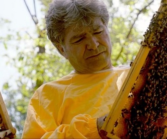 Replay Italie, l'abeille noire de Sicile - Les maîtres des abeilles