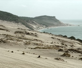 Replay Gironde, voyage le long de l'estuaire