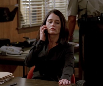 Replay Mentalist - S01 E002 - La vie en rousse