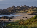 Replay Sur l'île des ornithorynques - La Tasmanie sauvage