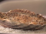 Replay La meilleure cuisine régionale, c'est chez moi ! - J4 : Bretagne