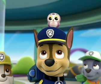 Replay Paw Patrol, la Pat'Patrouille - Le sauvetage du hibou