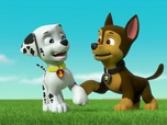 Replay Paw Patrol, la Pat'Patrouille - La Super Patrouille : Les statues de glace