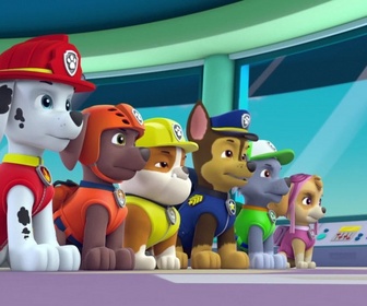 Replay Paw Patrol, la Pat'Patrouille - La journée de l'Amitié - 22'