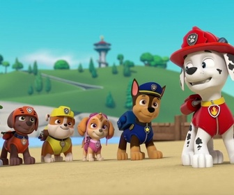 Replay S00 E49 - Compilation Paw Patrol, la Pat'Patrouille 49