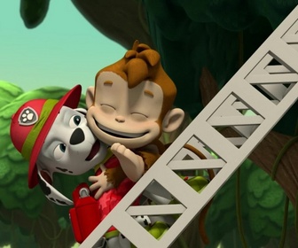 Replay Paw Patrol, la Pat'Patrouille - A la rescousse des trois singes