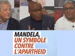 Replay DébatDoc - Afrique du Sud : quel héritage laisse Mandela ?