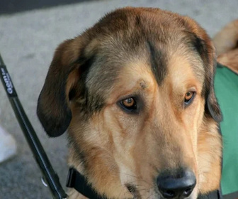 Replay Le doc du Mag santé - 22/12/2025