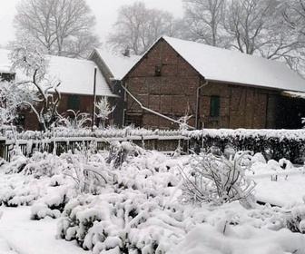 Replay Une journée d'hiver - La vie sauvage du jardin