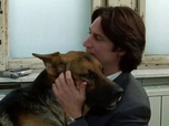 Replay Rex, chien flic - Destins croisés