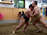 Replay Focus - Au Japon, le sumo ukrainien Aonishiki, 21 ans, a conquis les fans