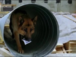 Replay Rex, chien flic - Le chantier abandonné