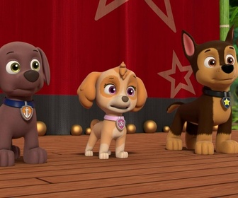 Replay Paw Patrol, la Pat'Patrouille - La danse des flamants roses