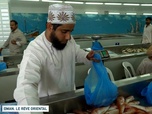 Replay Un jour, un doc - Oman, le rêve oriental