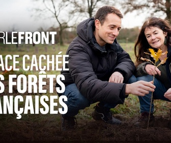 Replay Sur le front - La face cachée des forêts françaises