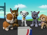 Replay Paw Patrol, la Pat'Patrouille - S07 E23 - Les rollers de Danny