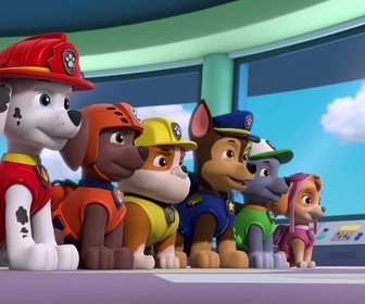 Replay Paw Patrol, la Pat'Patrouille - Digi et Tal, les robots assistants