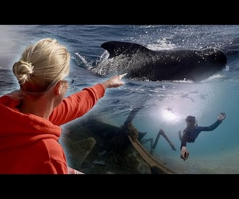Replay Les îles de l'Atlantique prouvent que le tourisme peut aider l'océan