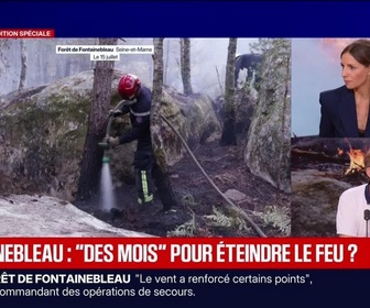 Replay BFM Grand Soir - Fontainebleau : des mois pour éteindre le feu ? - 15/07