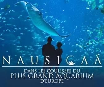 Replay Nausicaà : dans les coulisses du plus grand aquarium d'Europe - Épisode 1
