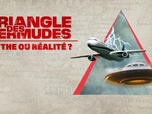 Replay Le Triangle des Bermudes : mythe ou réalité ?