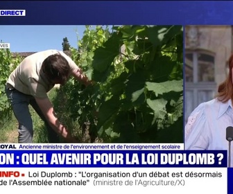 Replay BFM Story - Story 5 : Ségolène Royal, J'ai signé la pétition Duplomb - 21/07