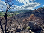 Replay Urgence climatique : un défi mondial - Incendies, innover pour mieux lutter