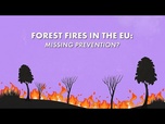 Replay L'UE ne parvient-elle pas à prévenir les feux de forêt ?