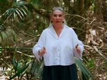 Replay La Villa des Coeurs Brisés