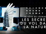 Replay Science grand format - 16/10/2025
