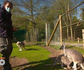 Replay Une saison au zoo - S13 E17