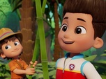 Replay Paw Patrol, la Pat'Patrouille - La catapulte à noix de coco