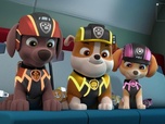 Replay Paw Patrol, la Pat'Patrouille - Le portrait de la princesse
