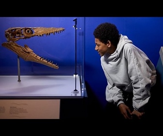 Replay Danger des profondeurs : des prédateurs préhistoriques au musée londonien d'Histoire naturelle