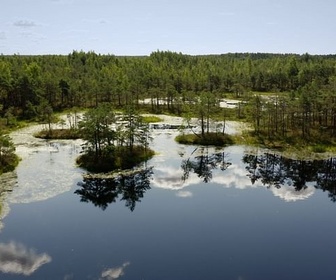 Replay Engagés pour la préservation des marais - Des mains vertes pour la nature