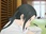 Replay Ippon again !