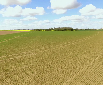 Replay Champs de bataille - S2E3 - 1944, la Hitlerjugend contre attaque