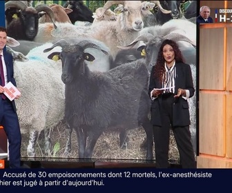 Replay BFM Première prématinale - Focus Régions - 08/09