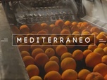 Replay Mediterraneo - Les oranges de la dignité en Italie