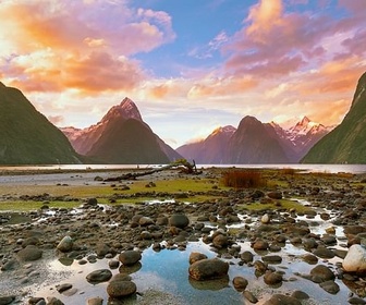 Replay La survie d'un paradis - Nouvelle-Zélande