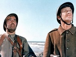 Replay Fin de la Seconde Guerre mondiale - 80 ans - Week-end à Zuydcoote
