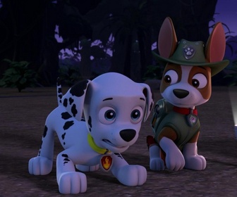 Replay Paw Patrol, la Pat'Patrouille - La Bouche du Tonnerre