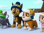 Replay Paw Patrol, la Pat'Patrouille - Panique sur les pistes