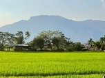 Replay Le Sud - Laos, l'éloge de la lenteur