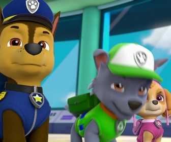 Replay Paw Patrol, la Pat'Patrouille - Alex et sa mini-patrouille