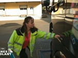 Replay Les reines du volant - S5E14 - Episode 14